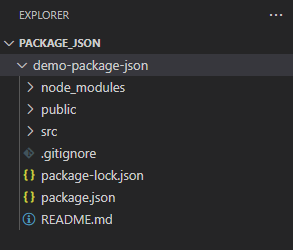 package.json folder structure