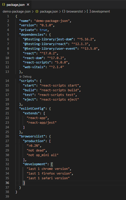 package.json code